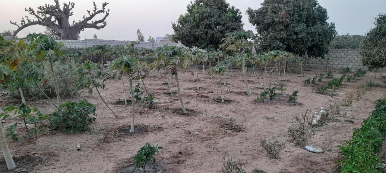 Saly Lrad Le Village Ngaring Εξωτερικό φωτογραφία
