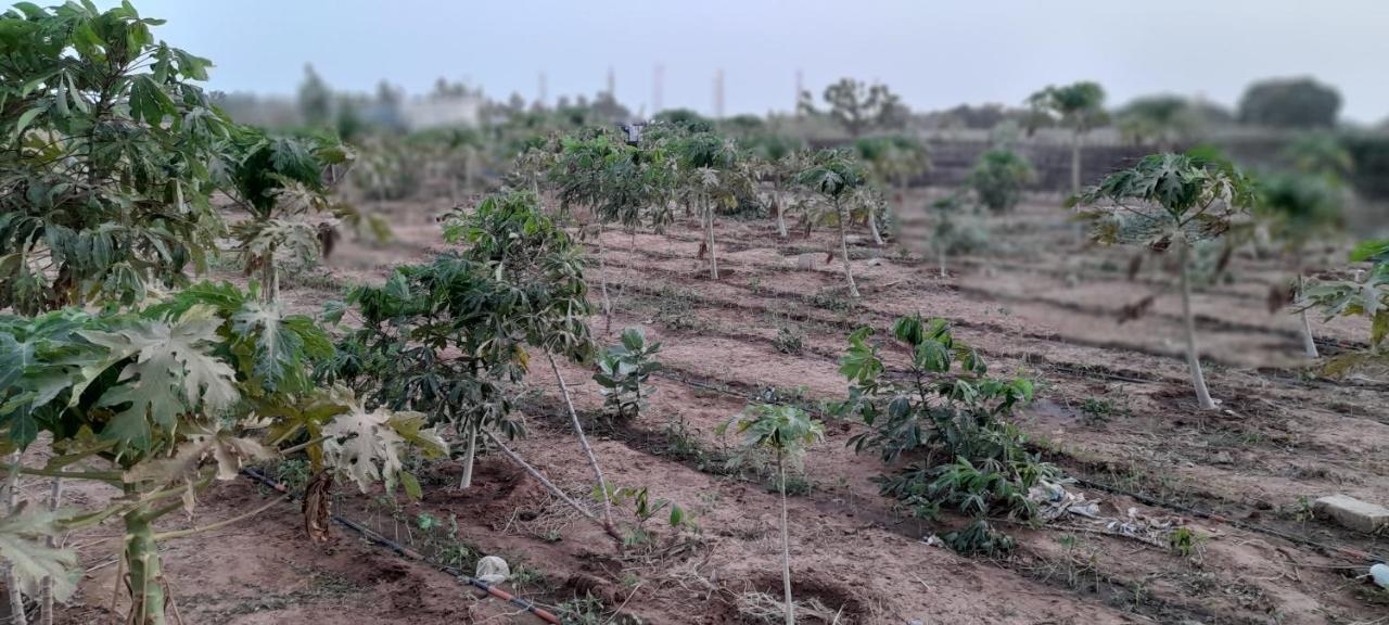 Saly Lrad Le Village Ngaring Εξωτερικό φωτογραφία